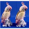 Lot 128_: Pair of Volkstedt Ens German Porcelain Parrots