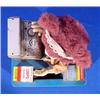 Image 5 : Lot 212_: Battery Operated Bear Cashier