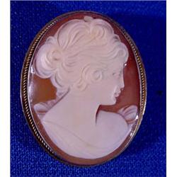 Lot 254_: Hand Carved Shell Cameo Pin