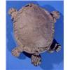 Image 3 : Lot 321_: Cast Iron and Tin Turtle Form Mechanical Cuspidor