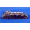 Image 3 : Lot 324_: Cast Iron Door Stop