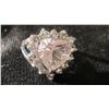 Image 1 : ring