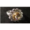 Image 1 : ring