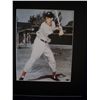 Image 1 : Ted Williams
