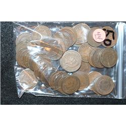 Indian Head Penny, Various Dates & Conditions, Lot of 50