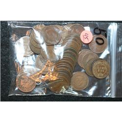 Indian Head Penny, Various Dates & Conditions, Lot of 50