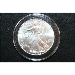 2002 Silver Eagle $1