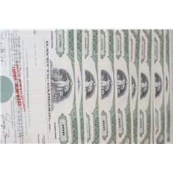 Faberge Inc. Stock Certificate Dated 1969, Lot of 10