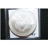 Image 2 : 2004 Silver Eagle $1