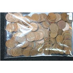Wheat Back Penny, Various Dates & Conditions, Lot of 200
