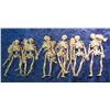 Image 1 : 537. (6) Miniature Human Skeletons.