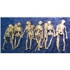 Image 2 : 537. (6) Miniature Human Skeletons.
