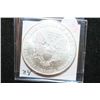 Image 2 : 1996 Silver Eagle $1