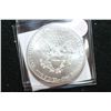 Image 2 : 2012 Silver Eagle $1