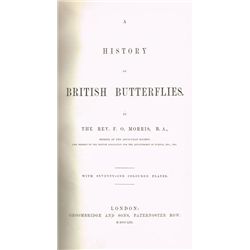 1853: A History of British Butterflies by Rev. F. O. Morris