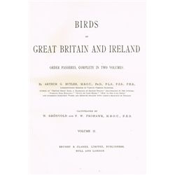 1907-08: Birds Of Great Britain And Ireland by Arthur G. Butler