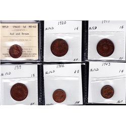 Lot of Twelve Newfoundland One Cent