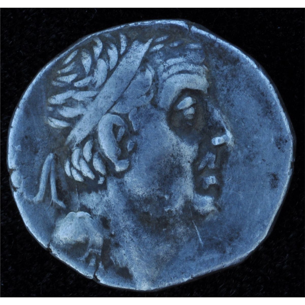 Cappadocia Ariobarzanes I (6665 BC) ARDrachm Obv Middleaged head