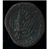 Image 2 : Chalkis Cleopatra VII (32-31 BC) - AE-19 Syria Obv: Diad. and dr. bust r.  partial legend and dots. 