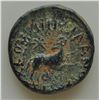 Image 2 : Augustus (27 BC - 14 AD) - AE-20 Antioch, Syria  Obv: Laur. Head of Zeus r. Rev: Ram jumping r., loo