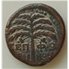Image 1 : Trajan (98-117 AD) - Three coins from Galilaea. AE-20 Coele-Syria. Leucas on the Chrysoroas Howgego 