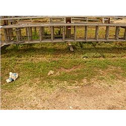 (1) LOT 2 EXTENSION LADDERS