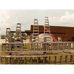 (1) LOT 2 EXTENSION LADDERS