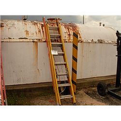 (1) LOT 2 EXTENSION LADDERS