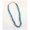 Image 1 : Navajo Sterling and Turquoise Necklace