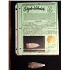 Image 2 : Fred Eiserman Chalcedony Spear Head COA