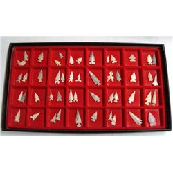 Collection of Stone & Shell Bird Points