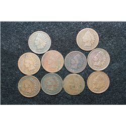 Indian Head Penny, Various Dates & Conditions, Lot of 10