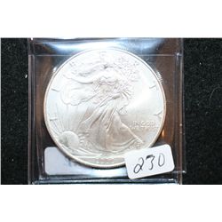 2000 Silver Eagle $1