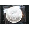 Image 2 : 2002 Silver Eagle $1