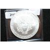 Image 2 : 2002 Silver Eagle $1