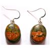Image 1 : Natural 11.96 g Semi Precious .925 Sterling Earrings