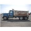 Image 5 : Kenworth W923 T/A Dump Truck