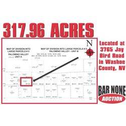 317.69 Acres in Washoe County, NV