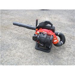 Echo Back Pack Blower