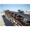 Image 8 : S/A Towable Conveyor