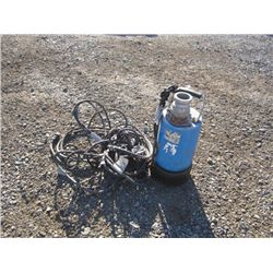 Submersible Pump w/ 2" Outlet