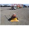 Image 1 : Walk-Behind Yard Vacuum