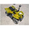 Image 2 : CCC Off-Road ATV