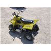 Image 4 : CCC Off-Road ATV