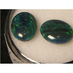 BLACK OPAL