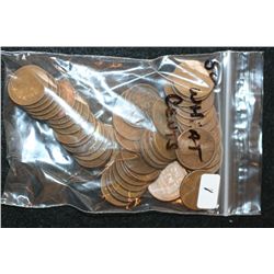 Wheat Back Penny, Various Dates & Conditions, Lot of 50