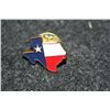 Image 2 : Texas Colorized Hat Pin