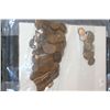 Image 2 : Coins from Binion's Hoard Collection, Various Dates, Denominations & Conditions