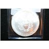 Image 2 : 2010 Silver Eagle $1