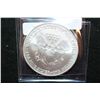Image 2 : 2007 Silver Eagle $1